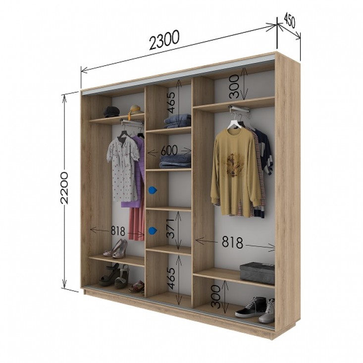 Шкаф купе 2300х450х2200 Гарант Шкаф купе 2300х450х2200 Гарант
