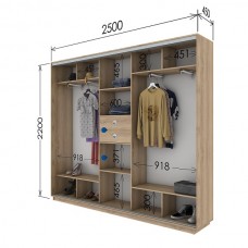 Шкаф купе 2500х450х2200 Гарант