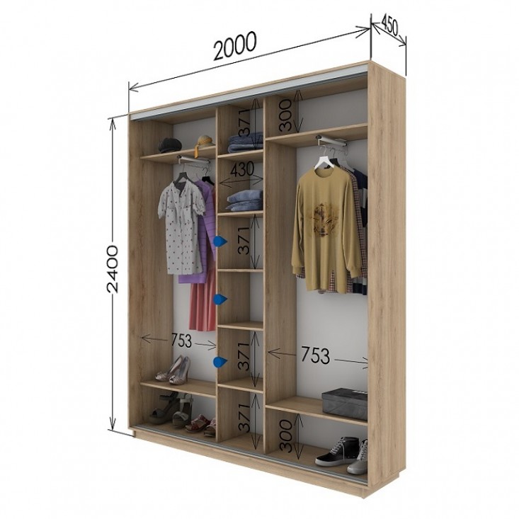 Шкаф купе 2000х450х2400 Гарант Шкаф купе 2000х450х2400 Гарант