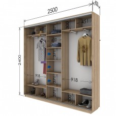 Шкаф купе 2500х450х2400 Гарант