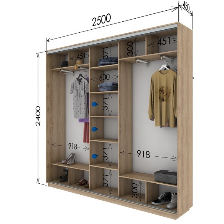 Шкаф купе 2500х450х2400 Гарант Шкаф купе 2500х450х2400 Гарант