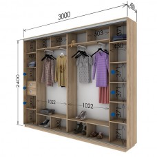 Шкаф купе 3000х450х2400 Гарант
